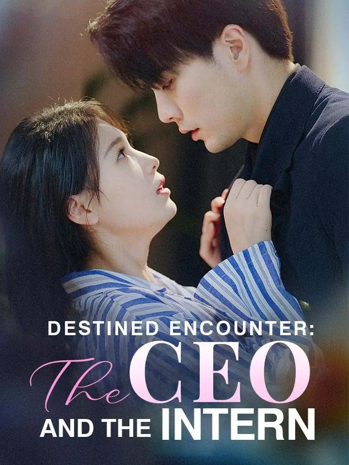 Destined Encounter: The CEO and the Intern 01