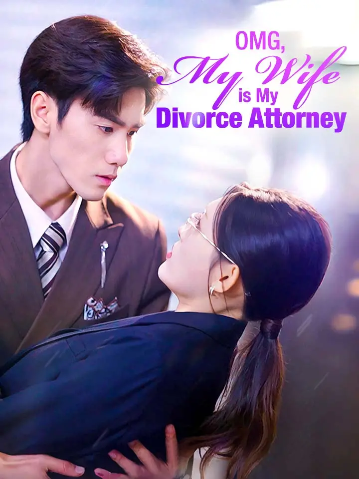 OMG, My Wife is My Divorce Attorney 01