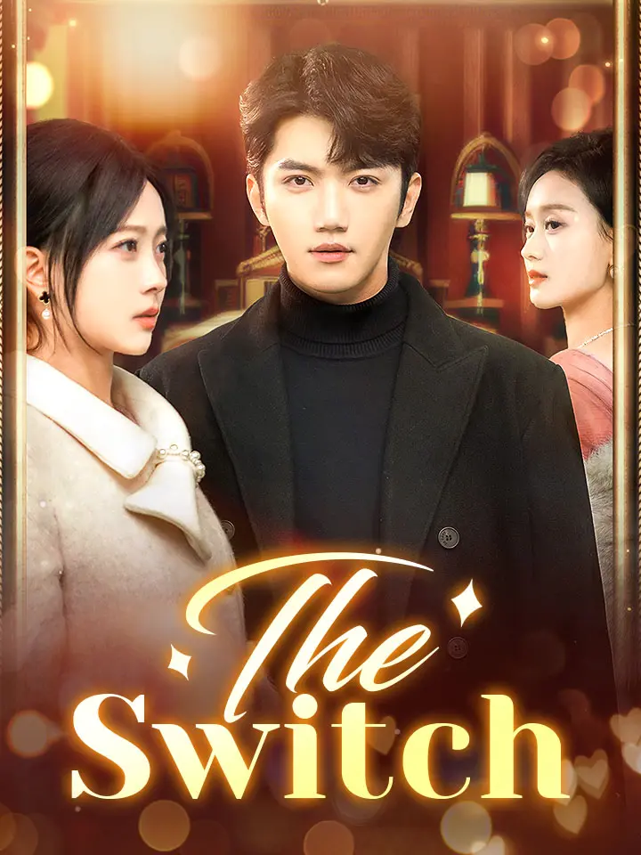 The Switch 01